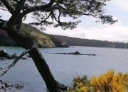 开云体育网站-西雅图海湾者主场优势明显，球迷期待逆转奇迹的简单介绍