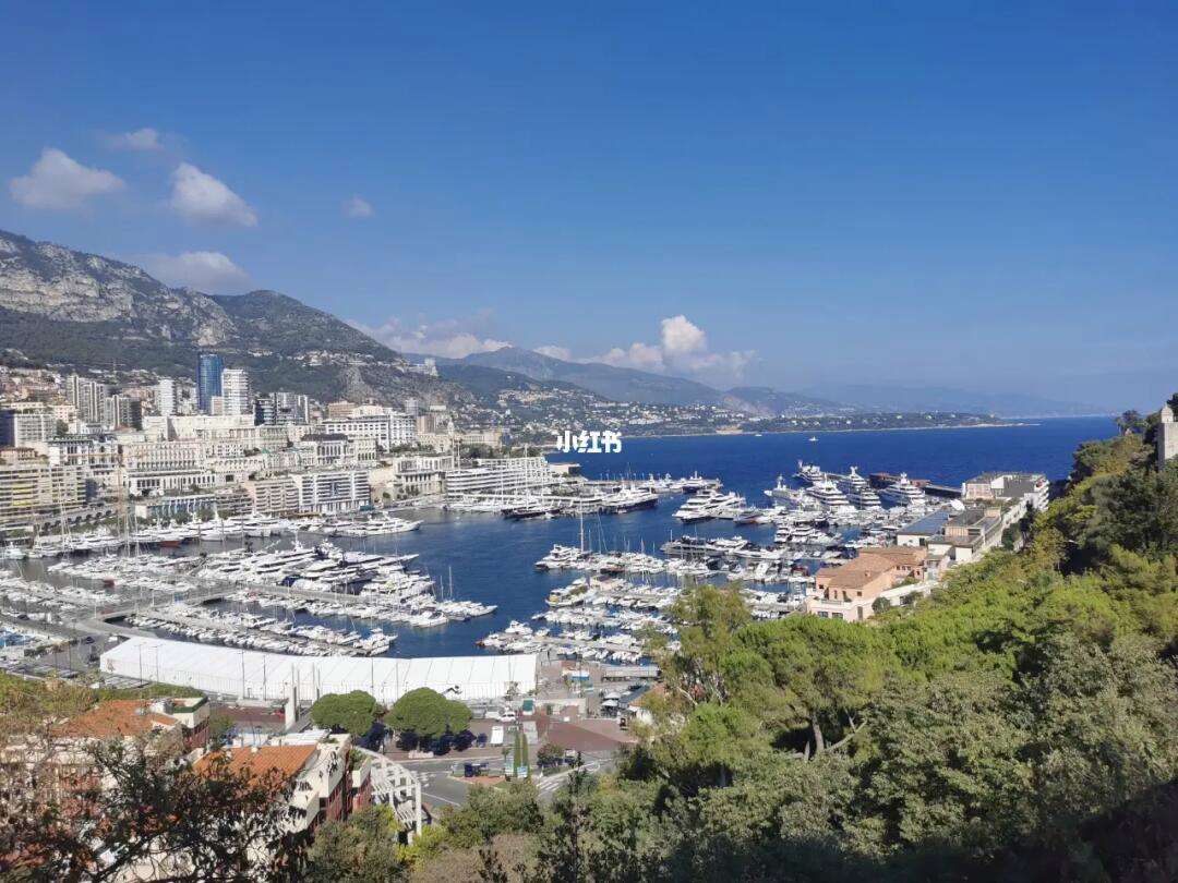 摩纳哥终结连胜纪录，教训最火爆敌人的简单介绍
